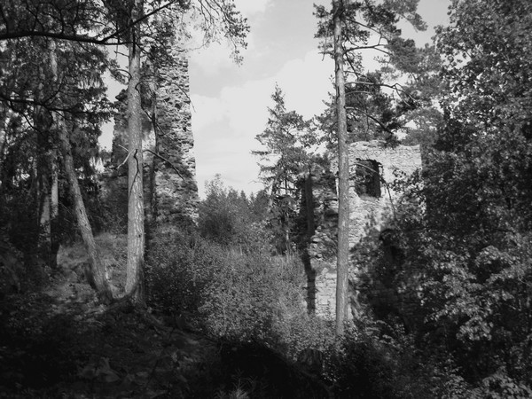 den5-louzek