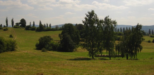 stara-role-bila skala