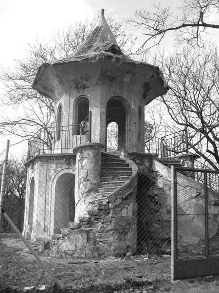 cibulka-v
