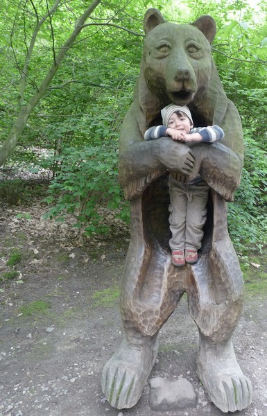 zoo-decin-foto-medved