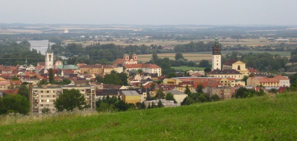 llitomerice