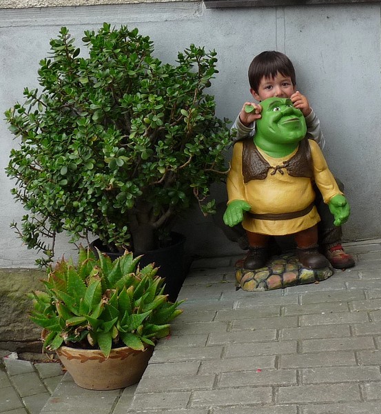 shrek-kuk
