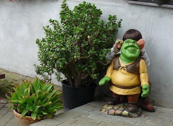 shrek-schovka