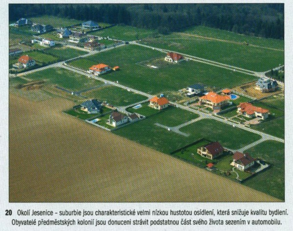 Image (4)