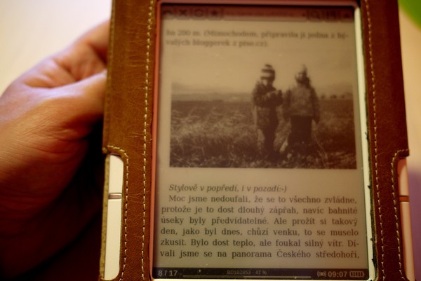 pocketbook302-web