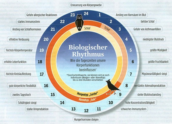 biorytmus