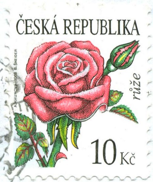 Image (2)