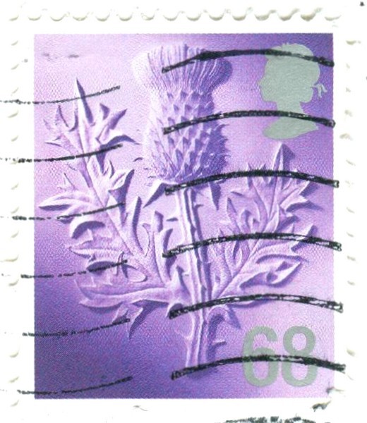 Image (2)