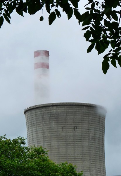 eckg