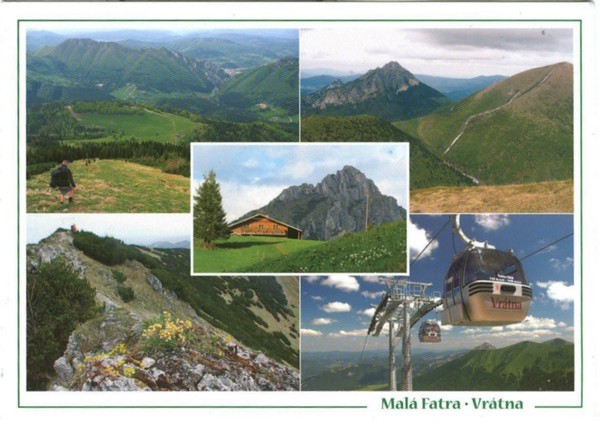 Image (3)