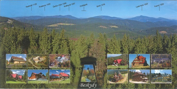 Image (3)