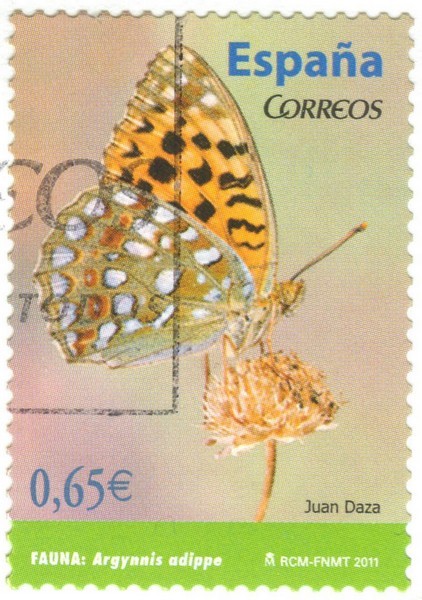 Image (2)