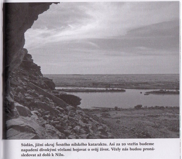 cilek-sudan