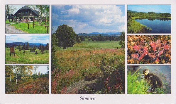 sumava-pohled