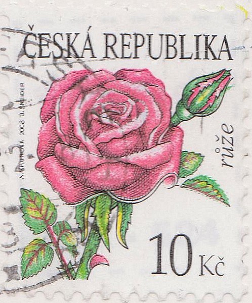 dj-znamka
