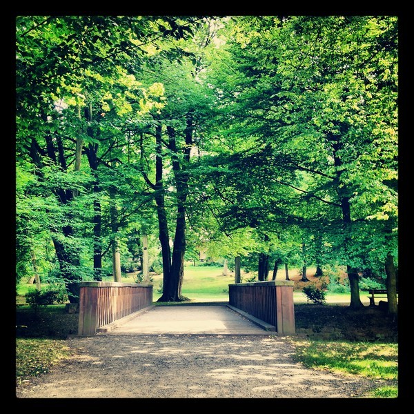 manetin-park-mostek