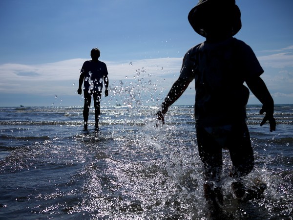 bibione-silueta