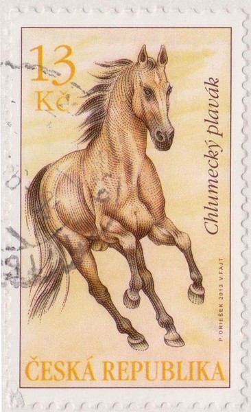 clhumensk plavk