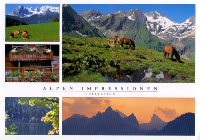 alpy