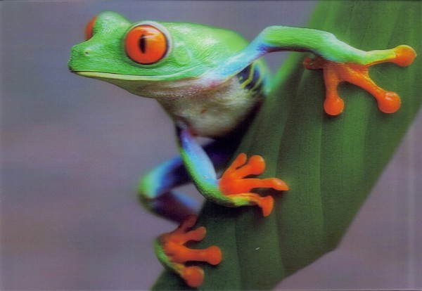 zoo ostrava