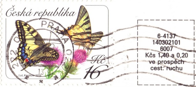 krupka-zmka