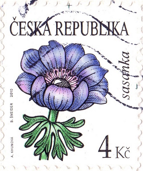sasanka znamka