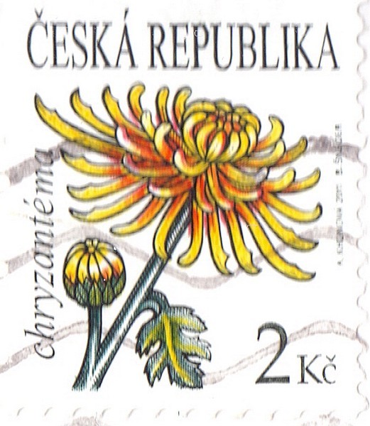 bohdane znmka