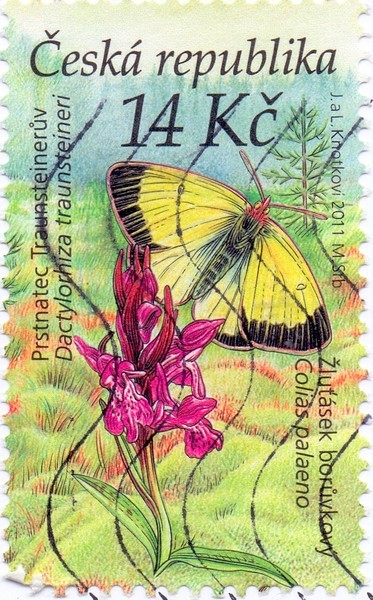 vysocina-motyl-znamka