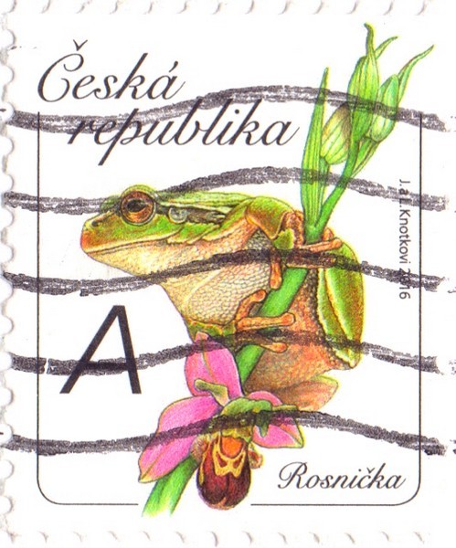 rosnika