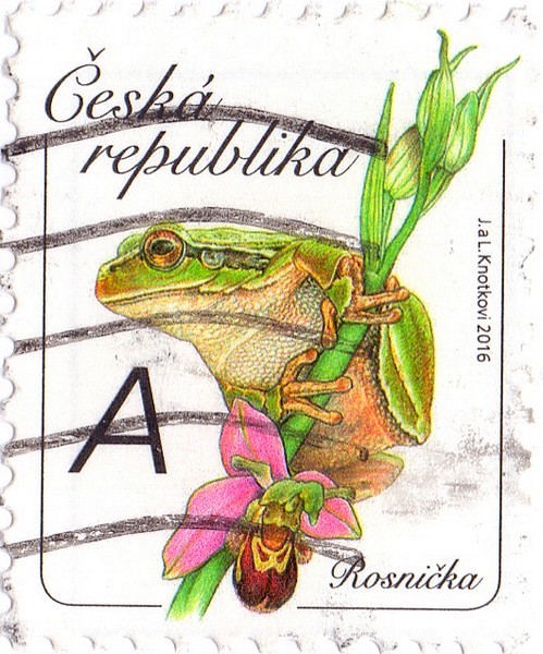 RosnikA