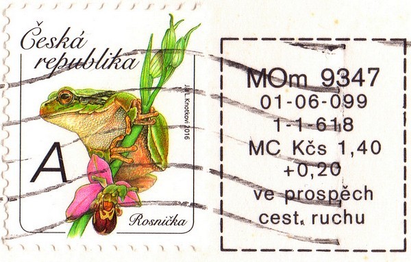 kokonsko rosnika