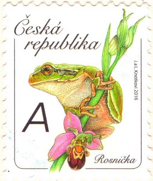 RosnikA