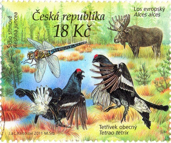 r tetvek