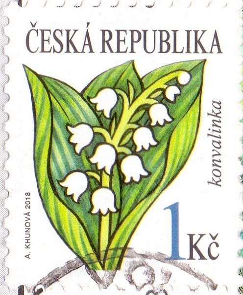 konvalinka