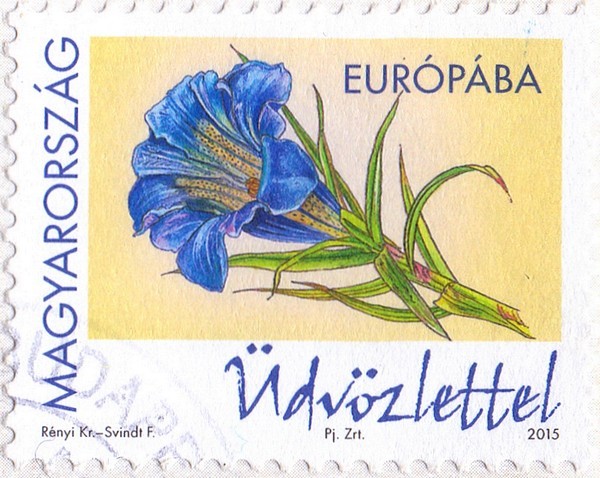 budape znmka