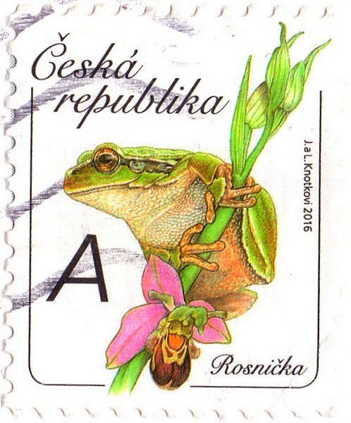 esk rosnika