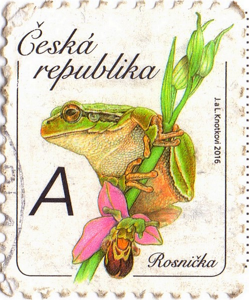 skenovn0002