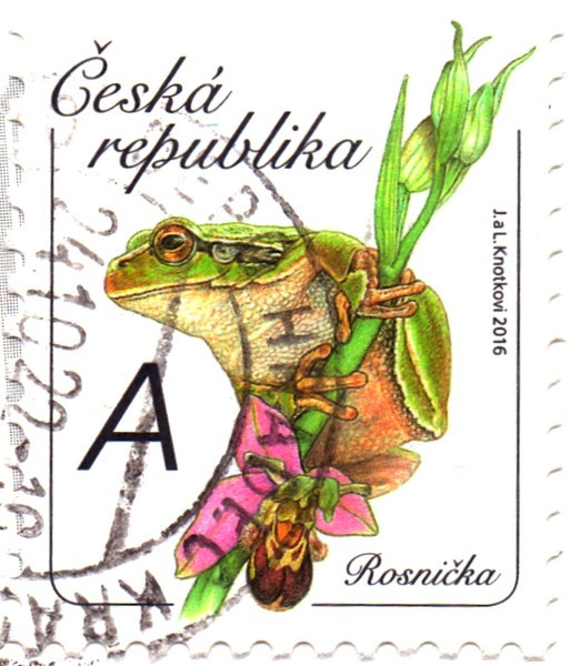 RosnikA