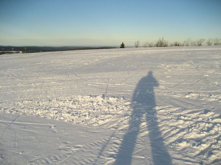 neklid stinovka