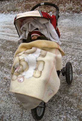 Polarnik