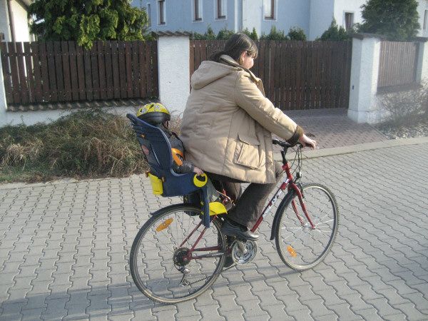 sargo jasa kolo