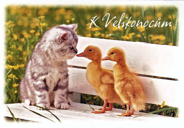 velikonocni pra