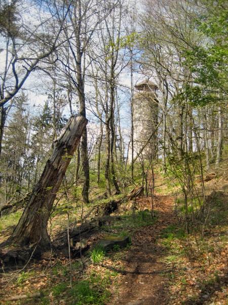 buina rozhledna