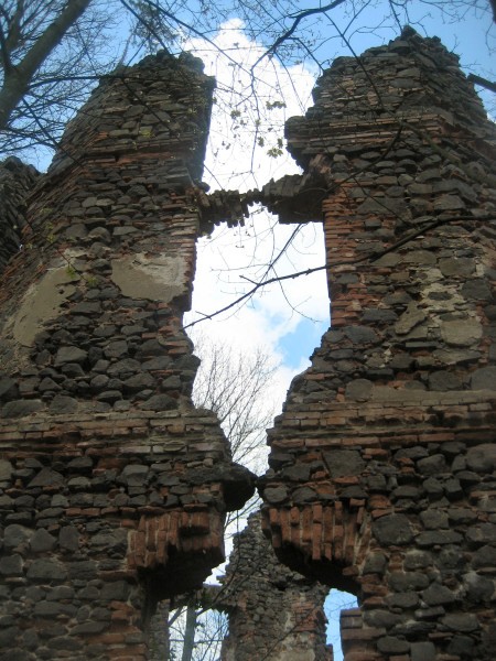 zmeek - detail