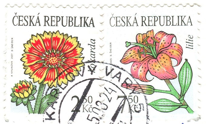 znmka