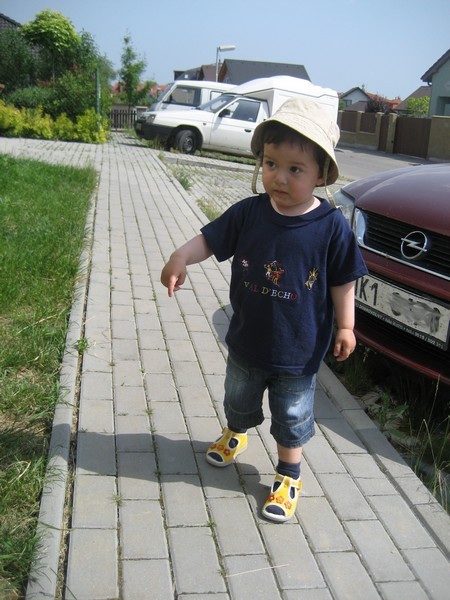 jasa lut boty
