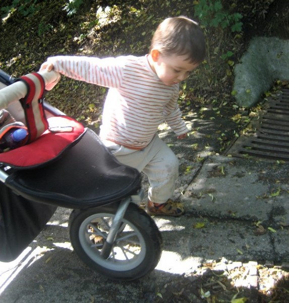 beroun kocar