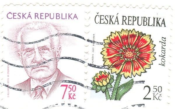 klaus kokarda