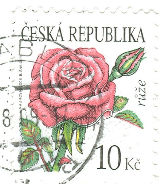 luzicke -znamka