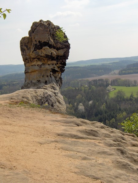 zcenina ap
